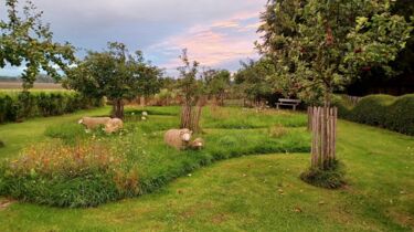 Garten der Ferienwohnung mit Schafen