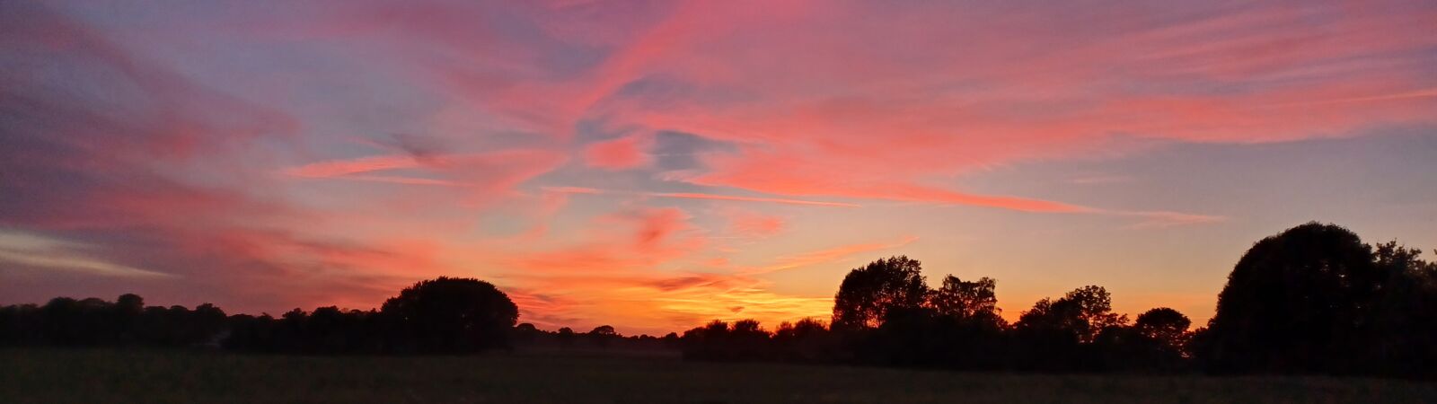 Sonnenuntergang über Feld und Bäumen