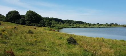 Am Winderatter See