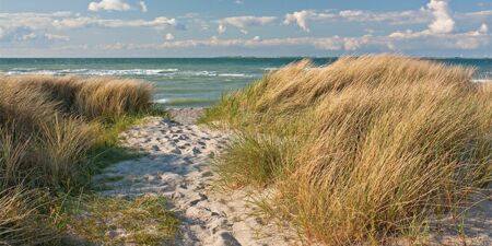 Strand an der Ostsee bei Kappeln