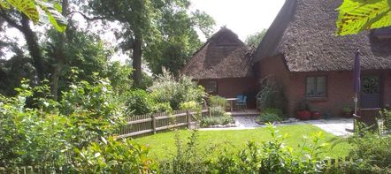 Garten mit neuem Holzdeck