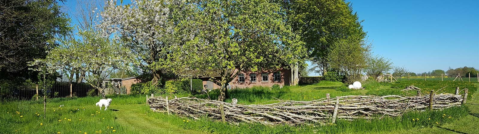 Frühling